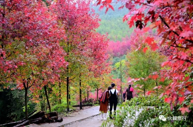 紅(hong)楓嶺.jpg